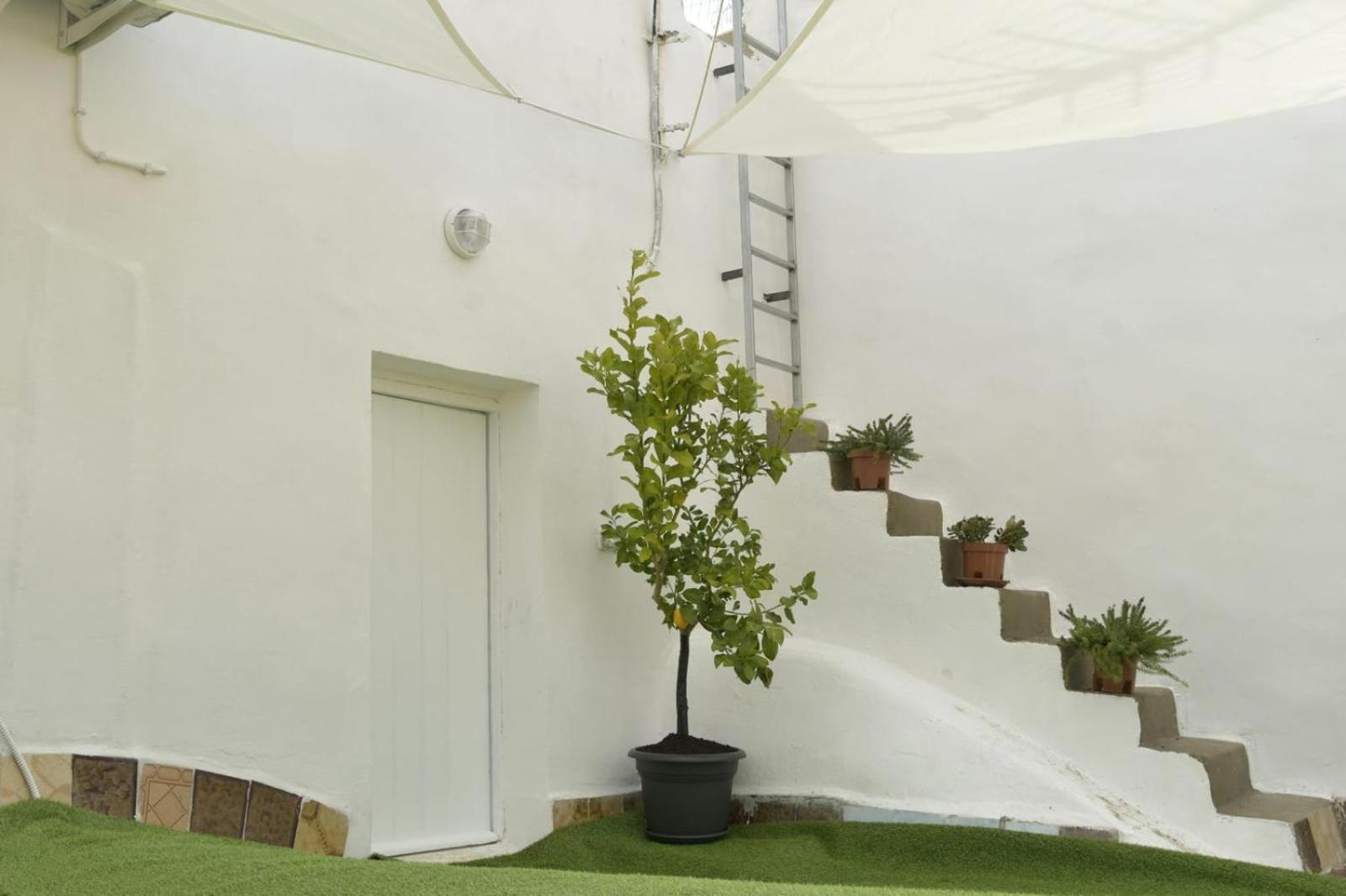 Madre Terra Apartment & Rooms Terrasini Exterior photo